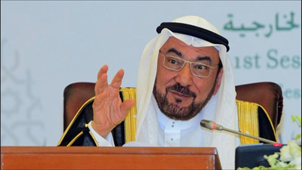 «التعاون الإسلامي»: الحوار بين الأديان يخلق التماسك الاجتماعي «التعاون الإسلامي»: الحوار بين الأديان يخلق التماسك الاجتماعي