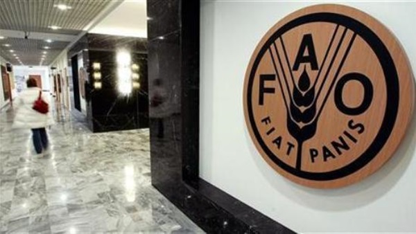 انخفاض أسعار المنتجات الغذائية الزراعية بنسبة 19% انخفاض أسعار المنتجات الغذائية الزراعية بنسبة 19%