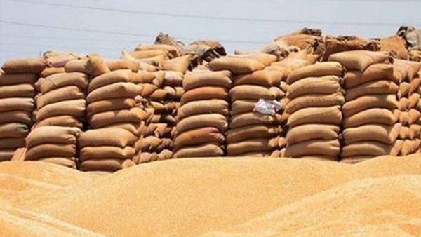 وصول 34 ألف طن قمح أوكراني إلى الإسكندرية وصول 34 ألف طن قمح أوكراني إلى الإسكندرية