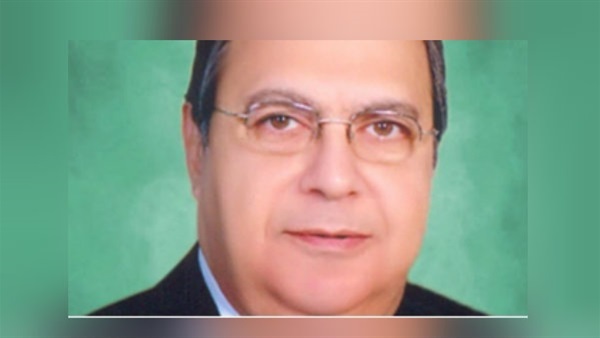 نائب برلماني: لا يوجد خلافات على القوانين نائب برلماني: لا يوجد خلافات على القوانين