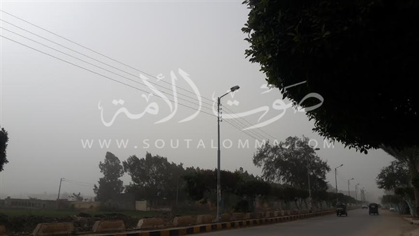 بالصور.. طقس بارد ورياح مثيرة للأتربة تضرب الدقهلية بالصور.. طقس بارد ورياح مثيرة للأتربة تضرب الدقهلية