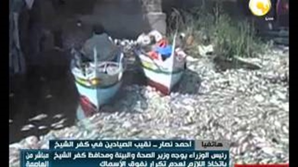 بالفيديو.. نقيب الصيادين يكشف سبب نفوق الأسماك بالفيديو.. نقيب الصيادين يكشف سبب نفوق الأسماك