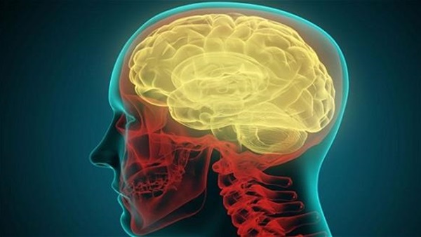 دراسة: الأذكياء أكثر قابلية للتشتت أثناء العمل دراسة: الأذكياء أكثر قابلية للتشتت أثناء العمل
