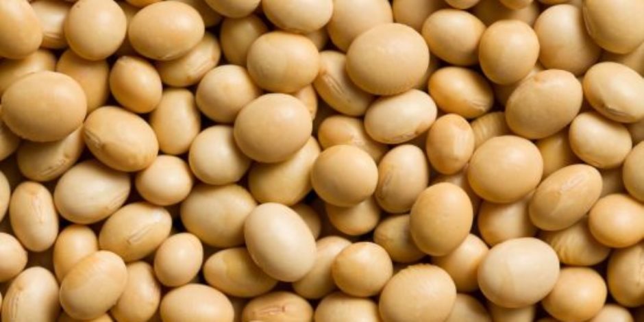 Семена сои фасоли арахиса богаты в основном. Боб фасоли. Salted peanuts. Горох фасоль соя. Гибрид арахиса и гороха.