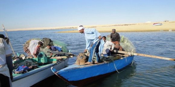 «الزراعة» تناصر البحيرات الشمالية.. 10 خطوات لنجدتها (إنفوجراف)