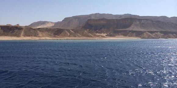 «الحقائق لا يمكن طمسها».. قالوا عن اتفاقية تيران وصنافير (إنفوجراف)