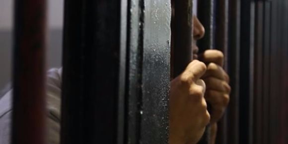 8 تواريخ في حياة لجنة العفو الرئاسي تنجب 460 حرا ( انفوجراف )