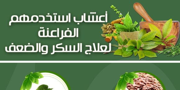 10 أعشاب استخدمها الفراعنة لعلاج السكر والضعف الجنسي والتجاعيد والاكتئاب