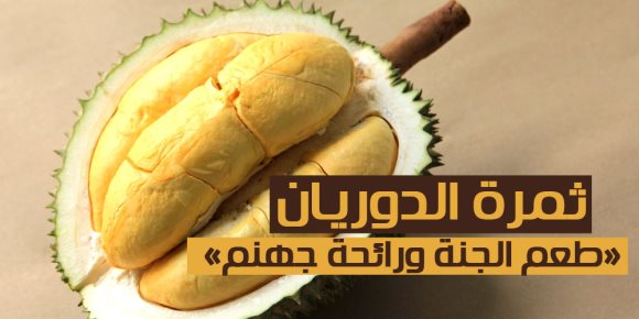 ثمرة الدوريان.. «طعم الجنة ورائحة جهنم» (إنفوجراف)