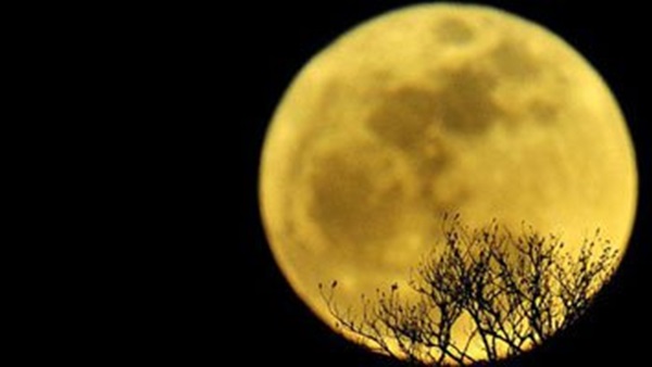 "البحوث الفلكية": القمر الأزرق   يضئ سماء القاهرة غدًا    