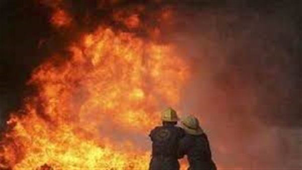   السيطرة على حريق هائل فى قطعة أرض بالدقهلية   