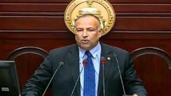 وفدي: قانون الإرهاب لن يقيد الحريات 