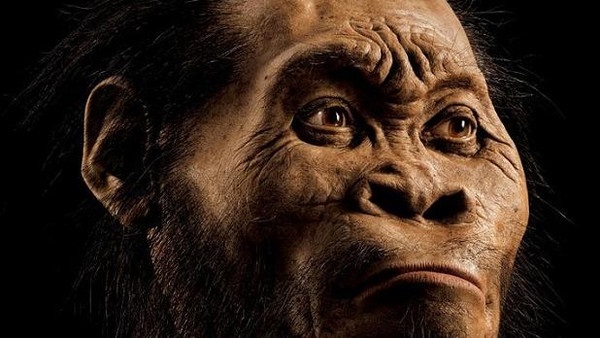 اكتشاف مذهل عن عيش جنس بشري من نوع آخر على الأرض  