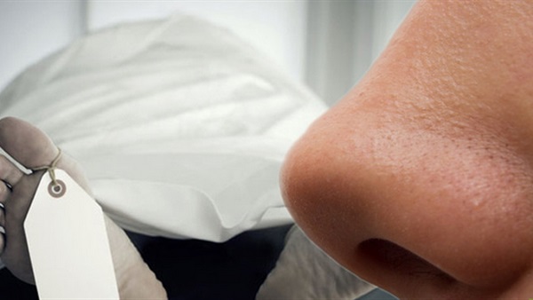 العلماء يحددون رائحة الموت  