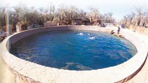 عيون مصر بين الجمال والتاريخ  