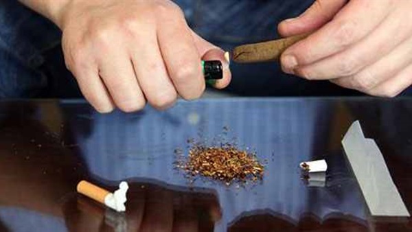 ننشر خريطة بيع «الحشيش» وأسعاره  فى عيد الأضحى- تحقيق 