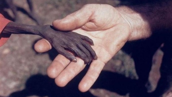 صور تشعر مشاهديها بالامتنان  