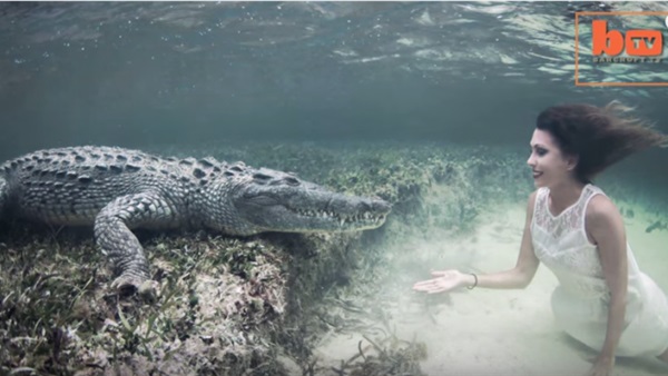  بالفيديو.. فتاة تسبح مع تمساح مفترس تحت الماء  