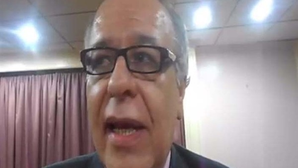 الشامي: مصر دعمت سنغافورة وعليها رد الجميل 