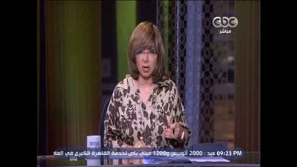 الحديدي: الرئيس السيسى مع بقاء الجيش السورى  