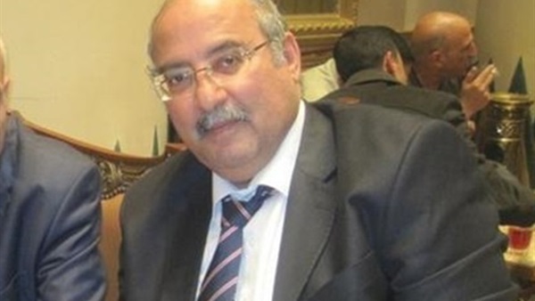 الجبهة الوطنية تستبدل  "حب مصر" بتيار الاستقلال 