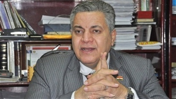 الفخرانى: زيارة الرئيس للنمور الآسيوية  بداية لمرحلة اقتصادية جديدة 