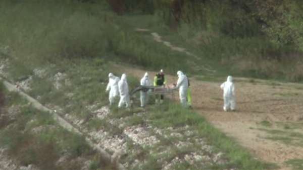 بالفيديو.. اصطياد حورية من أحد البحار  