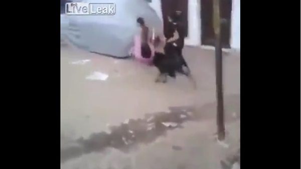 بالفيديو.. ماعز هائجة تنطح فتاة وتسقطها أرضًا  