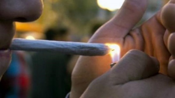  قريبا الماريجوانا في الصيدليات بأوروغواي  