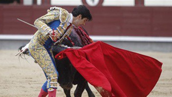 مصارعة الثيران اللعبة الأخطر والأشهر فى أسبانيا  