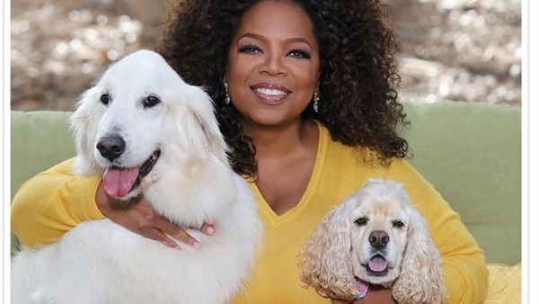 بالصور.. نجوم يحتفلون باليوم العالمى للحيوان  