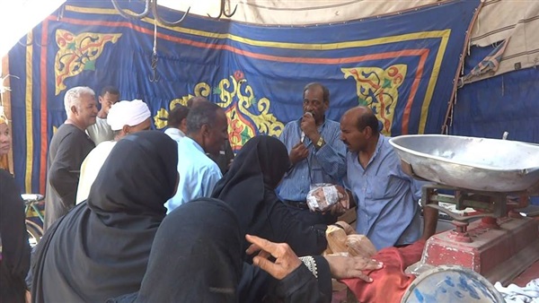 رئيس مدينة الأقصر: فتح منافذ لبيع  اللحوم بأسعار مخفضة 