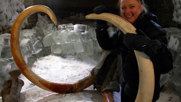 اكتشاف هيكل عظمي لحيوان "الماموث" يرجع لـ"45" ألف سنة