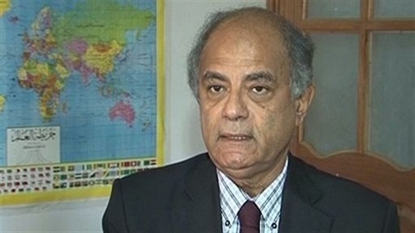 هريدي: عضوية مجلس الأمن والسلم «نصر كبير» لدبلوماسية مصر