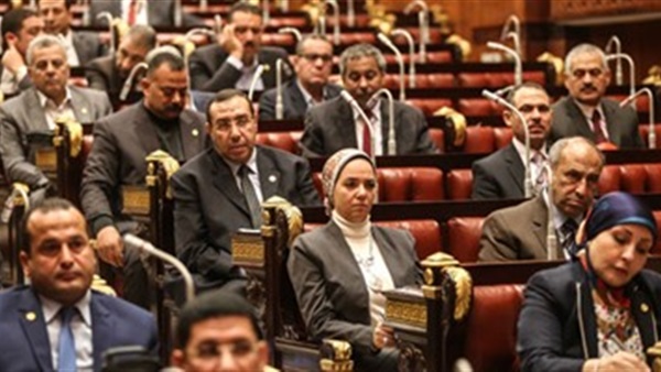 «دعم مصر» يعلن تقسيم النواب المنضمين له إلى مجموعات 