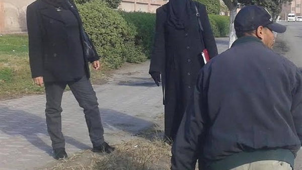 بالصور.. تنظيف وصيانة المسطحات الخضراء بمناطق الضواحي ببورسعيد 