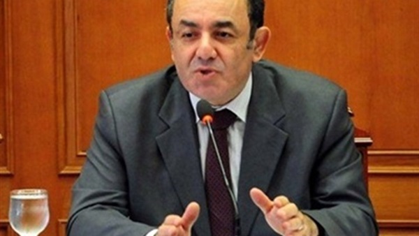 تأجيل النظر في الطعن في قضية «الشوبكي»