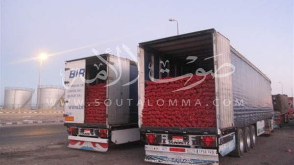 بالفيديووالصور..الأسباب الحقيقية وراء تكدس الشاحنات بميناء سفاجا..قلة عدد العبارات الأخطر.. وعدد موظفى الجمارك لا تكفى..وإحتكار الشركات للسفن «بصمة سوداء»..والبعض يحمل سوء الأحوال الجوية المسئولية