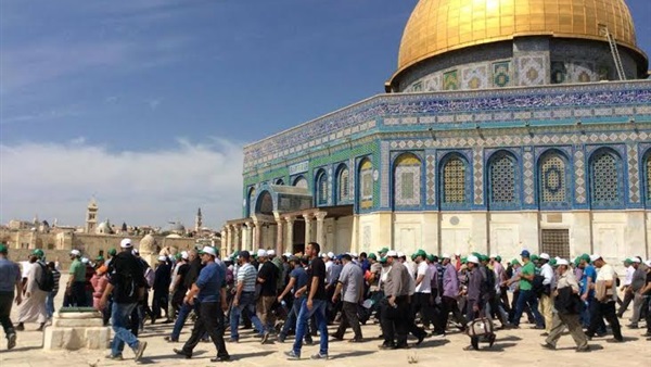 مستوطنون يتجولون بالأقصى تحت حماية الشرطة الإسرائيلية  