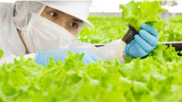 أول مزرعة في العالم تشغلها «روبوتات»