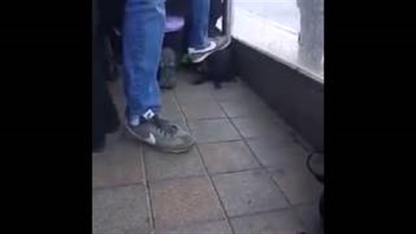 بالفيديو.. إسرائيلي يدهس طفلة فلسطينية بقدمة