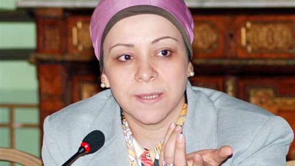 «أبو القمصان»: علينا الإستفادة من خبرات الهيئات الأجنبية 