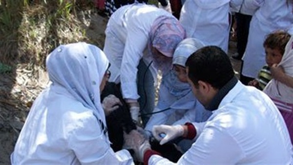  تحصين 7 آلاف رأس ماشية ضد مرض «العقيدى» بالمنيا   