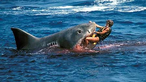 أسماك القرش هاجمت البشر 98 مرة في عام واحد