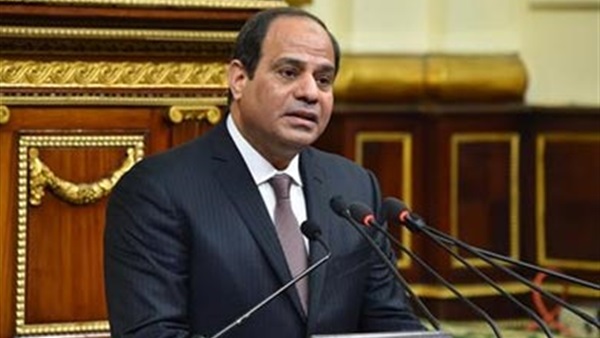 كمال: كلمة السيسي في البرلمان أجبرت «الجزيرة» على التعامل معها بجدية 