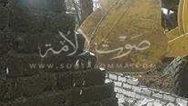 بالصور.. إزالة 42 حالة تعدي على الآرضى الزراعية بالشرقية