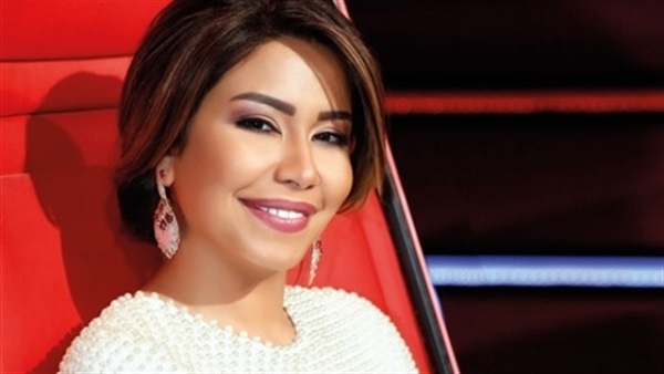 بالفيديو.. «الإبراشى» يعلق على حلم «العنب بالعسل»