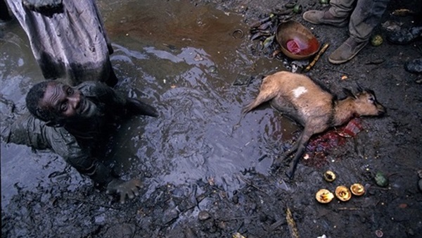 بالصور.. طقوس غريبة لأتباع مذهب  «الفودو» فى هايتى 