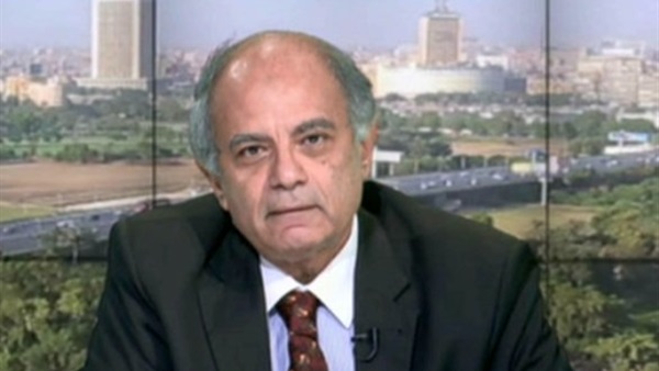 دبلوماسي: مصر ستتبنى القضايا الأفريقية حال عضويتها لمجلس الأمن 