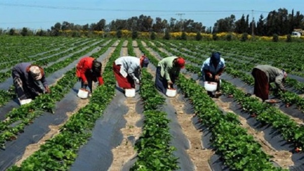 «رئيس مؤسسة أغاخان للتنمية»:أفريقيا حققت معدلات نمو اقتصادي سريعة